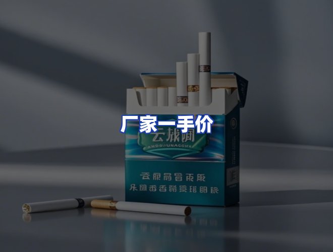专业团队